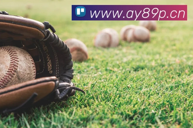 乐鱼体育APP登录服务体系